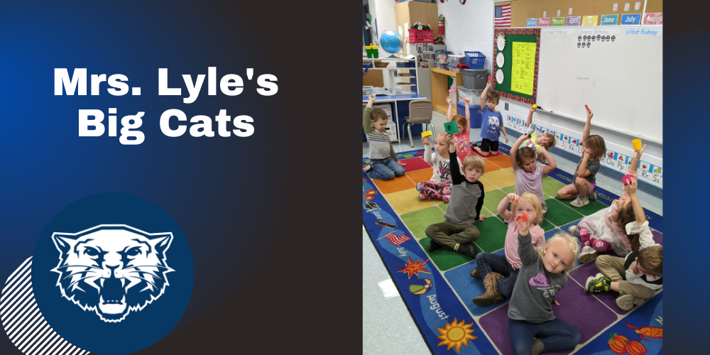 #W1ldcats